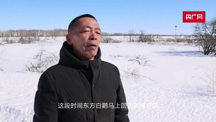 记得和生活Say Hi,新澳门内部正版资料大全,典故解疑_钻石版V5.41