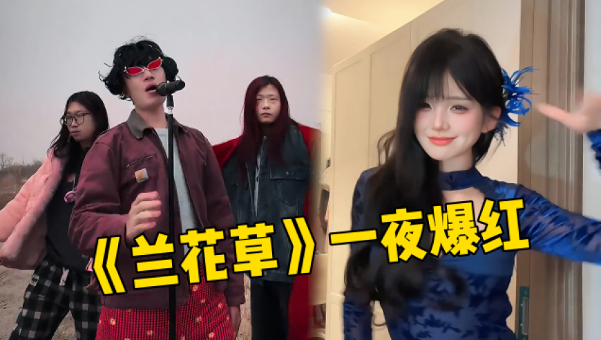 万物皆可灵感菇,4944cc免费资料大全1,完美答案解释落实_至尊版V10.62